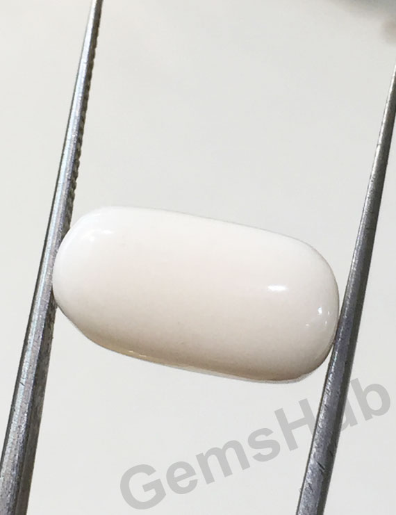 7.96 ct Natural Certified  White Coral/सफ़ेद मूंगा